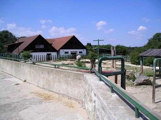 Bratislava (SK) August 2005 Rhino