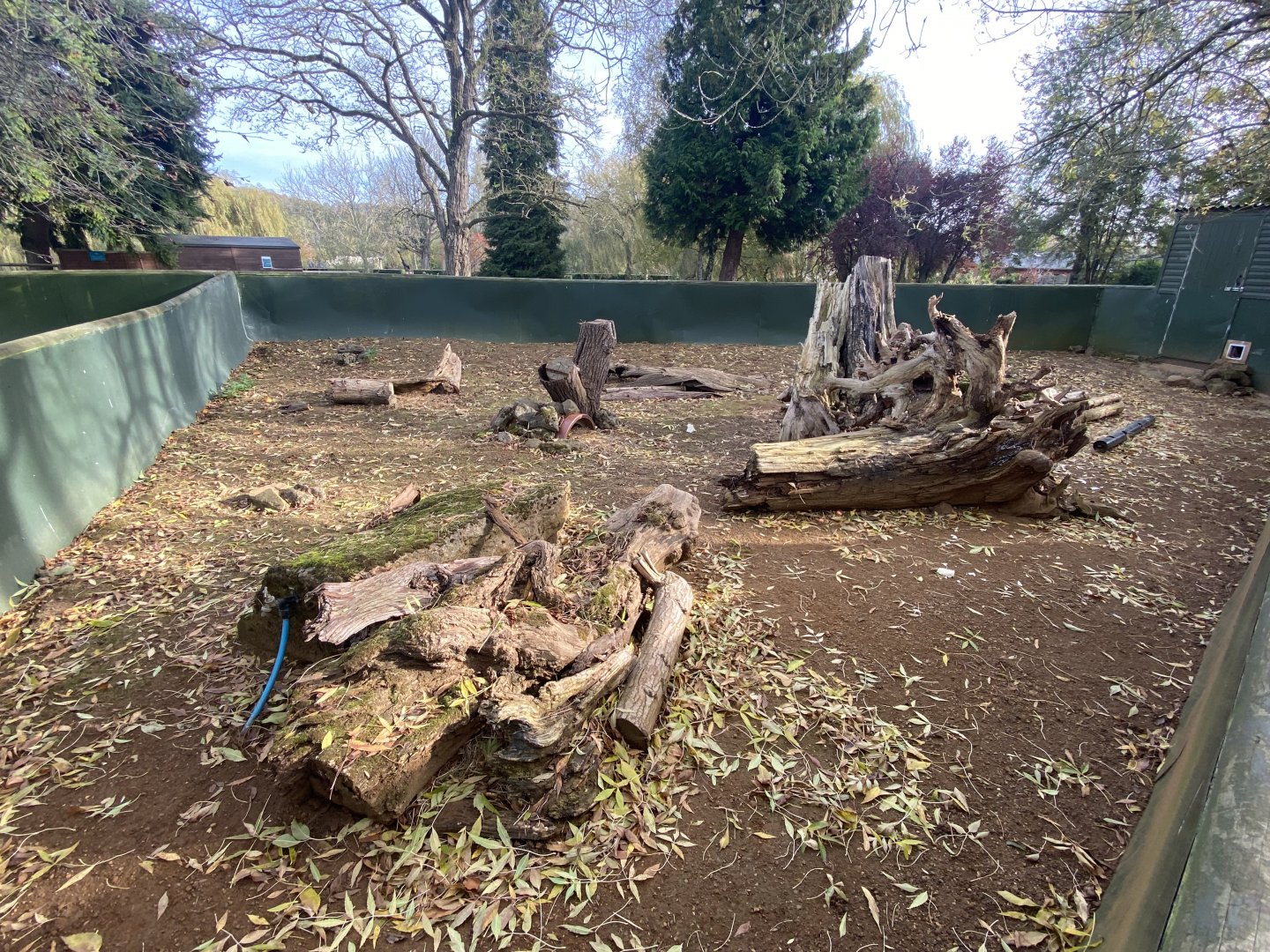 Brazilian guinea pig exhibit 071121