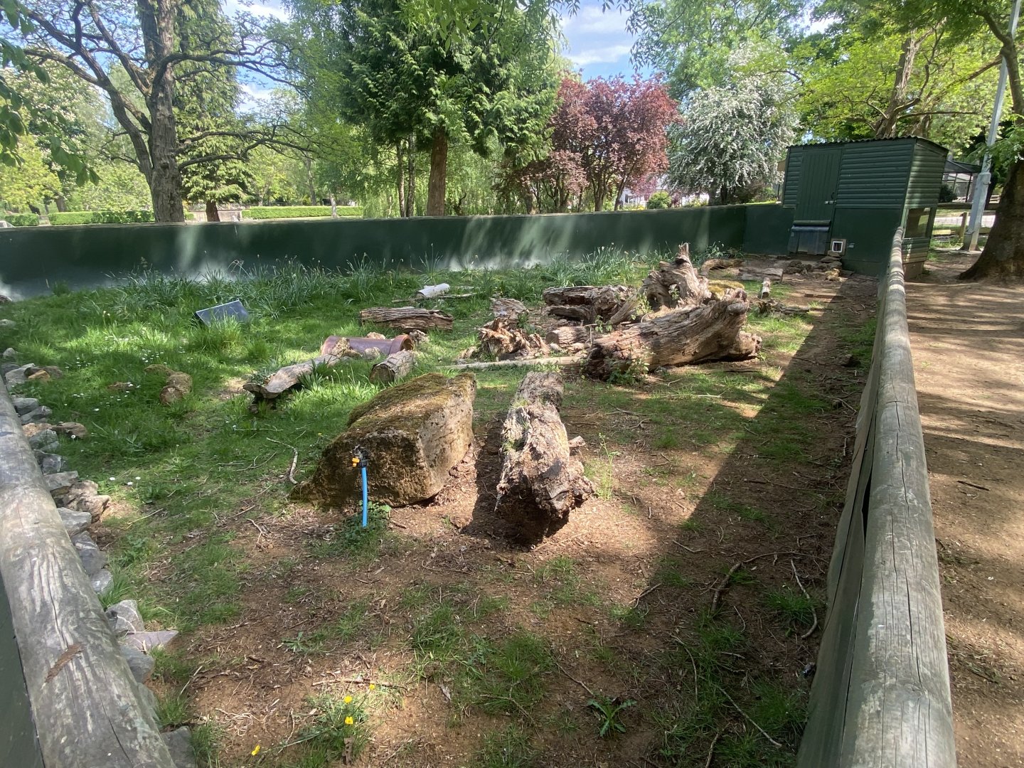 Brazilian Guineapig enclosure 090525
