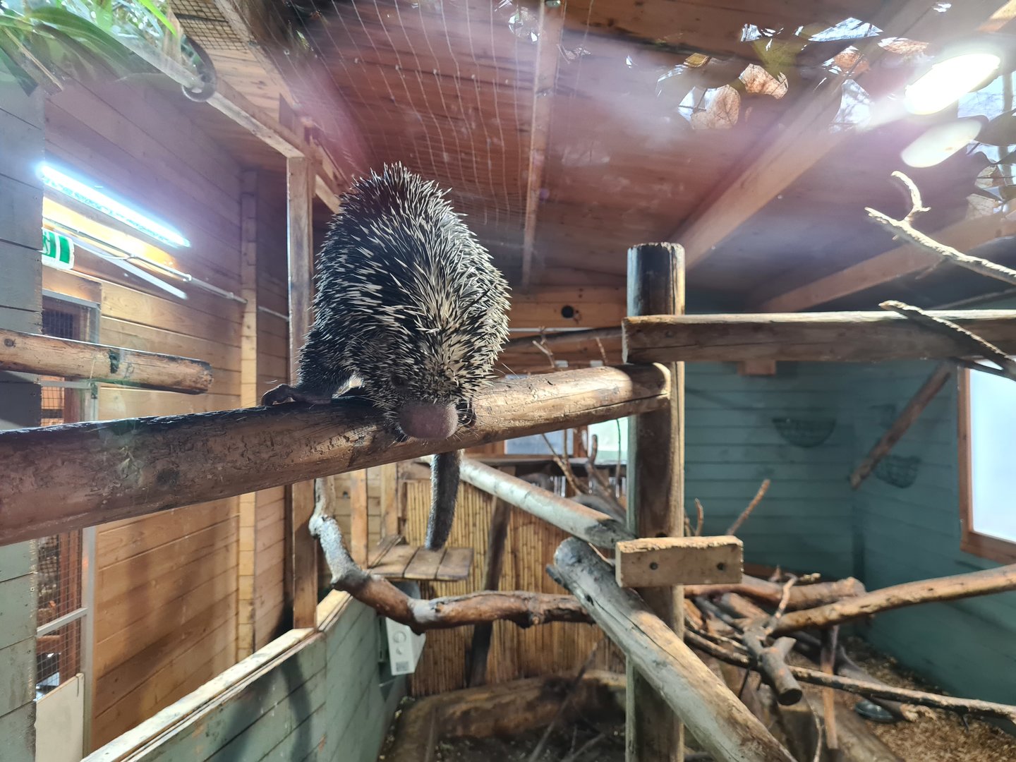 Brazilian Porcupine and Primate Exhibit
