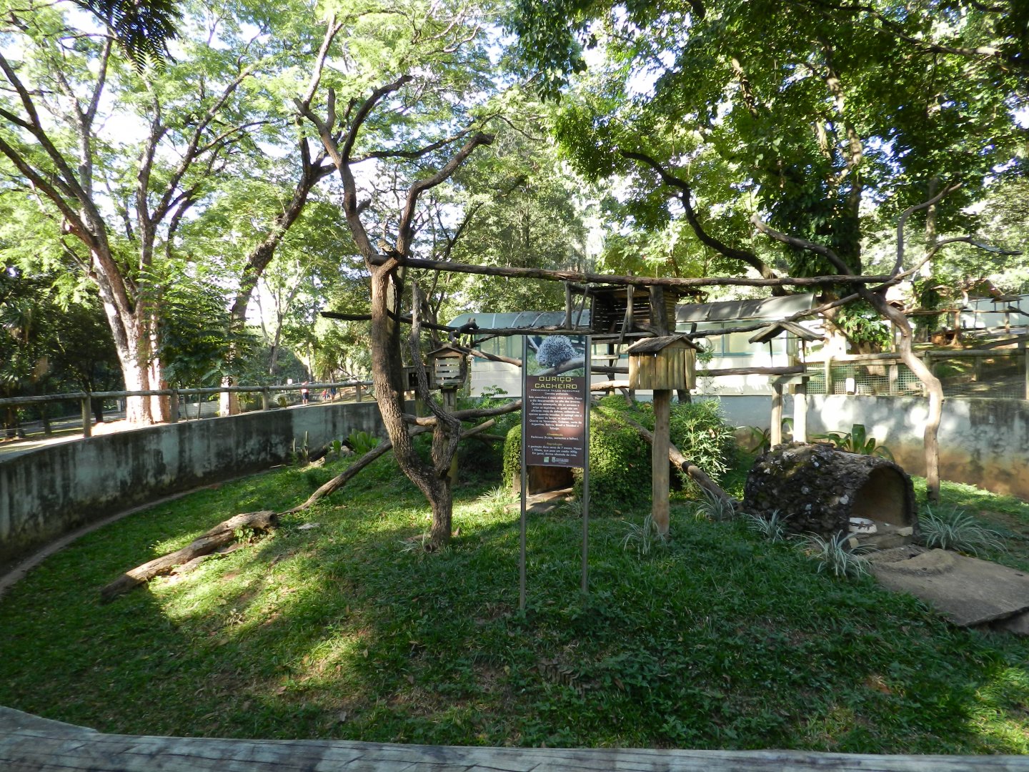 Brazilian porcupine exhibit - Belo Horizonte zoo