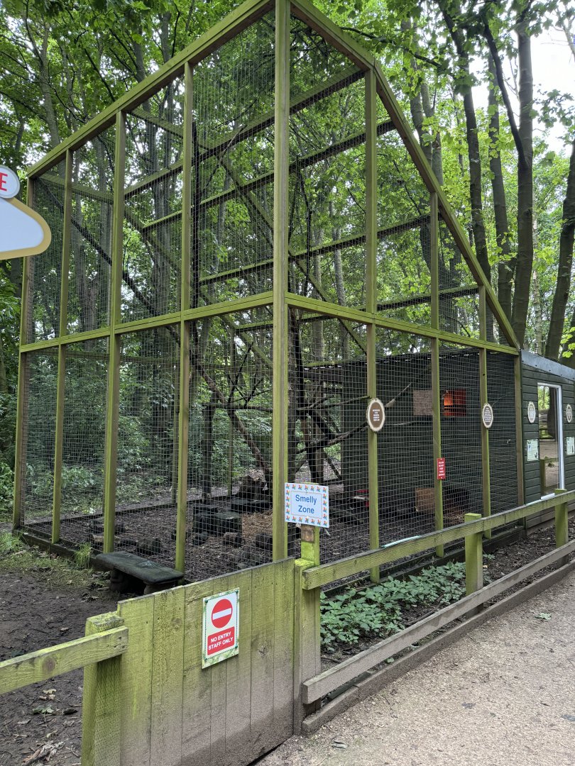 Brazilian Porcupine / Striped Skunk Enclosure at Bridlington Animal Park (July 2024)
