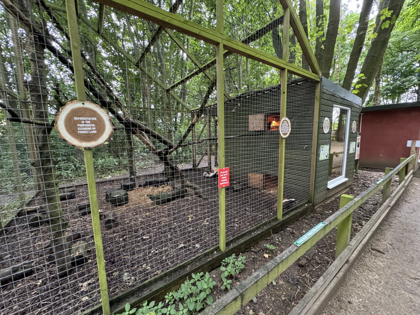 Brazilian Porcupine / Striped Skunk Enclosure at Bridlington Animal Park (July 2024)