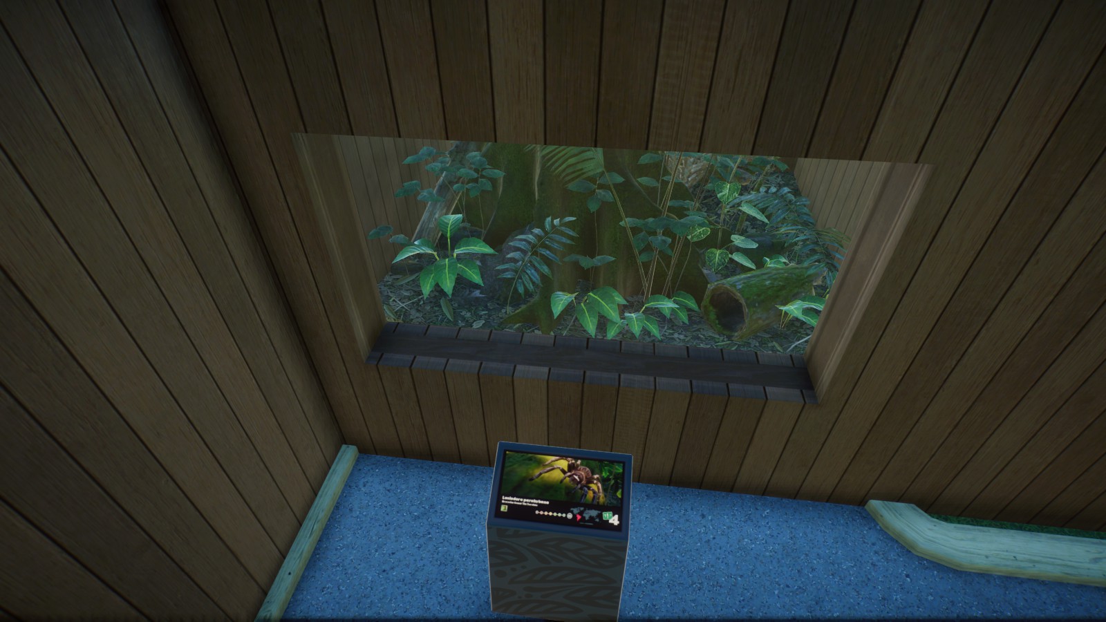 Brazilian Salmon Pink Birdeater Tank