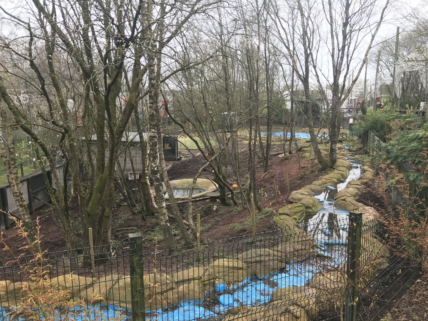 Brazilian tapir and agouti enclosure