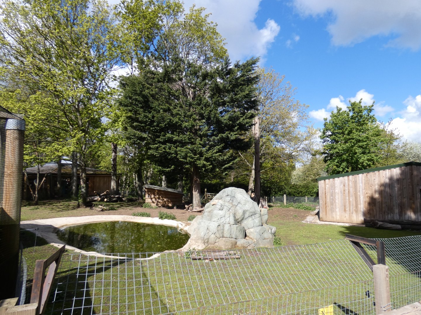 Brazilian tapir and capybara enclosure