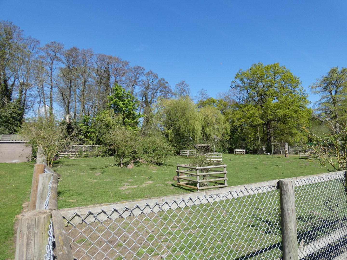 Brazilian tapir and capybara enclosure