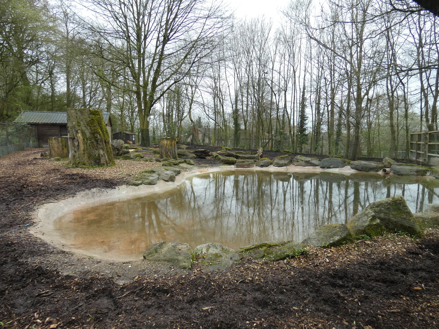 Brazilian tapir and capybara enclosure
