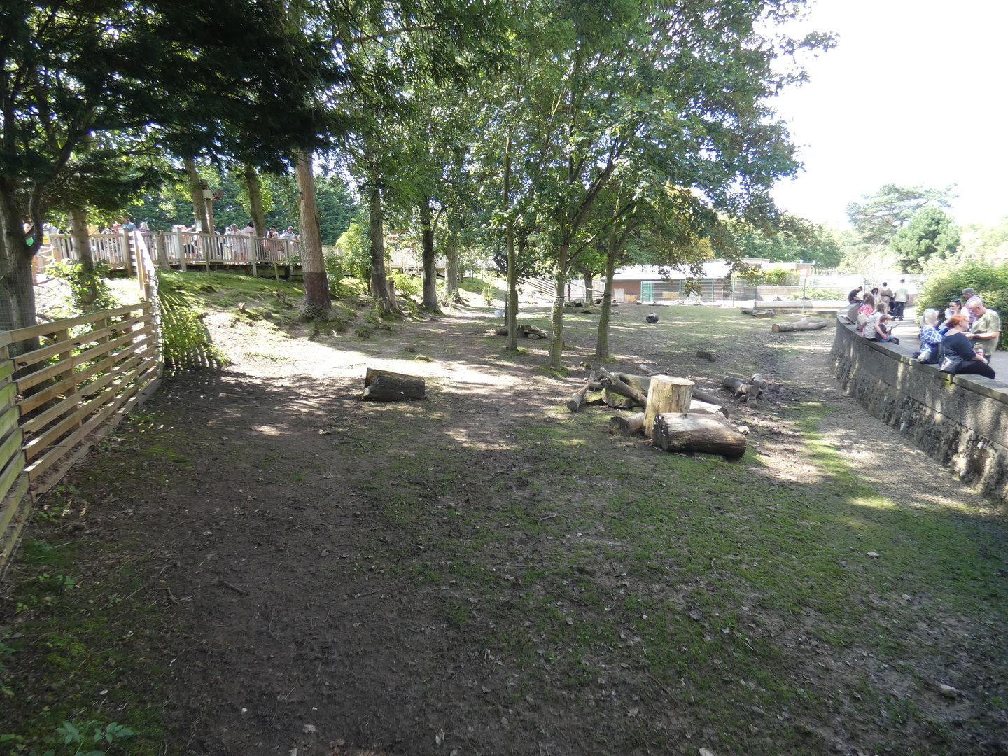 Brazilian tapir and capybara enclosure