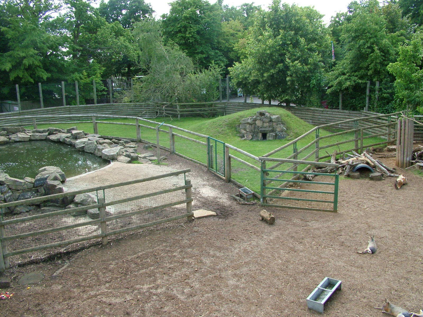 Brazilian Tapir and Mara paddock at Paradise WP, Broxbourne 25/07/09