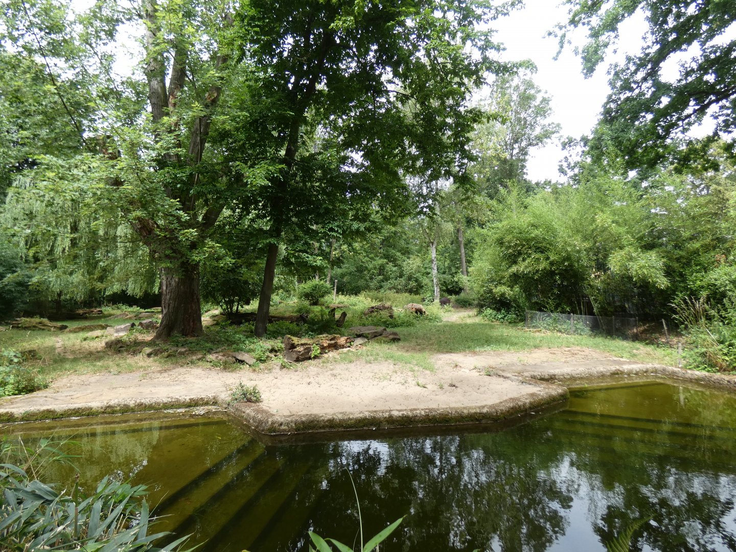 Brazilian tapir and White-nosed coati outdoor enclosure