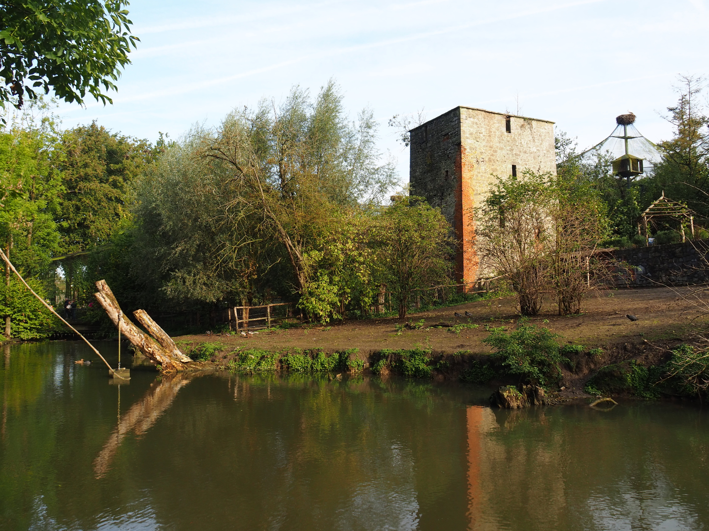 Brazilian tapir, Capybara and Giant anteater exhibit, 2019-10-04