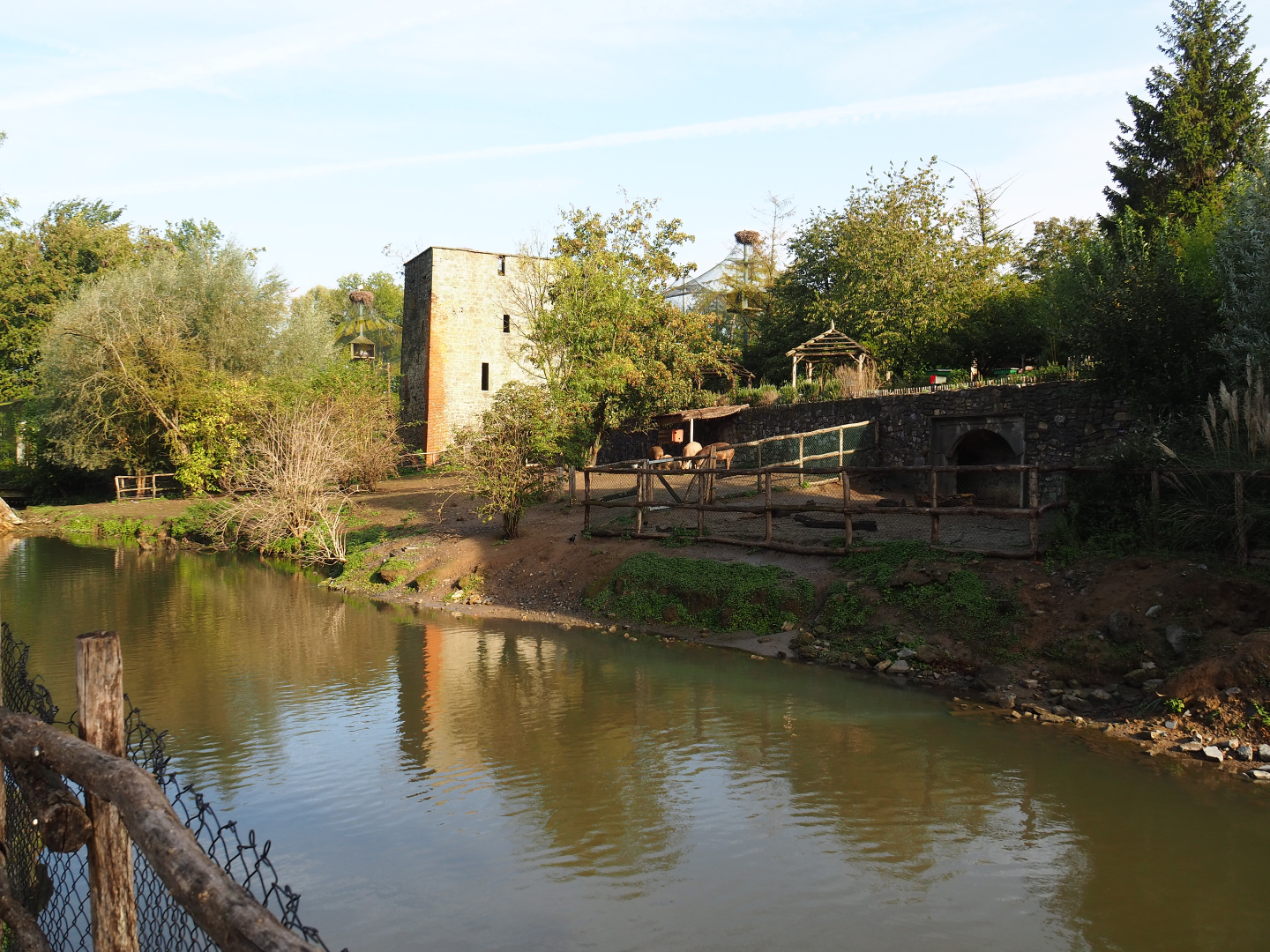 Brazilian tapir, Capybara and Giant anteater exhibit, 2019-10-04