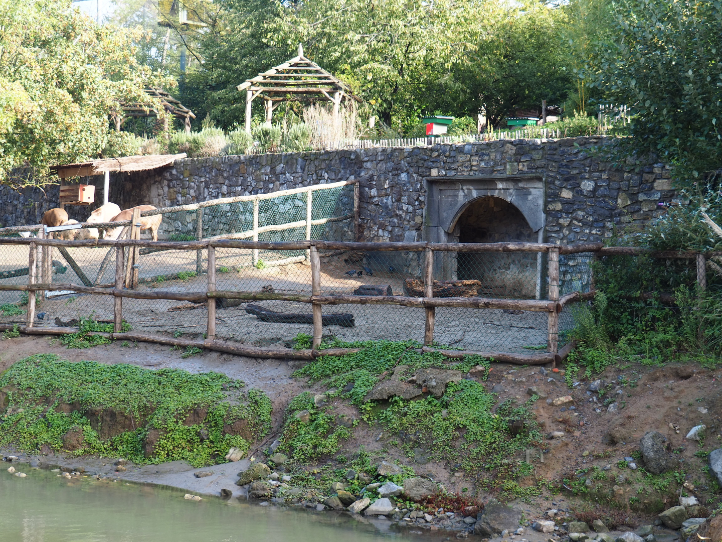 Brazilian tapir, Capybara and Giant anteater exhibit - Separation paddock, 2019-10-04