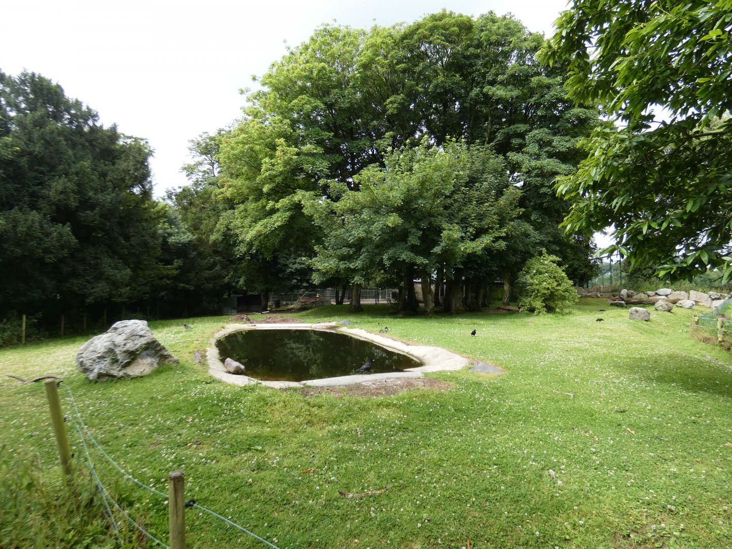 Brazilian tapir, Capybara and Rhea enclosure