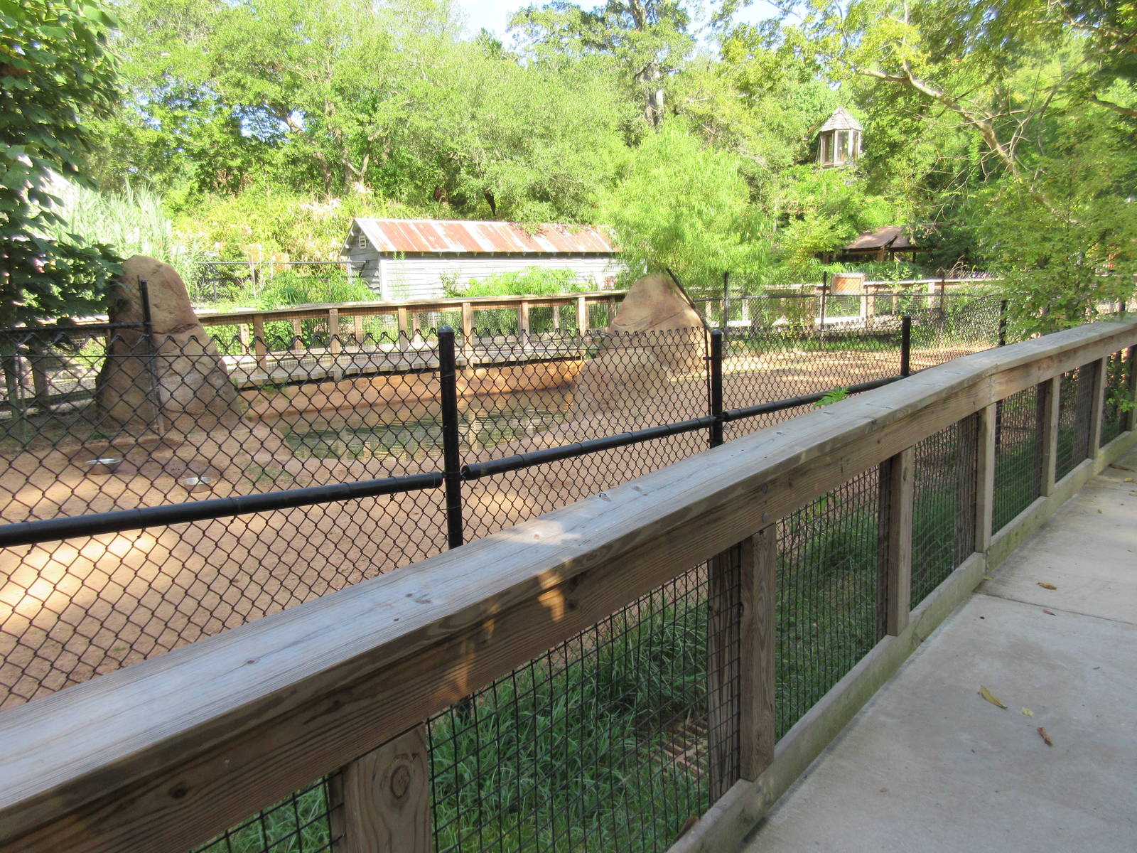 Brazilian Tapir/Capybara Exhibit