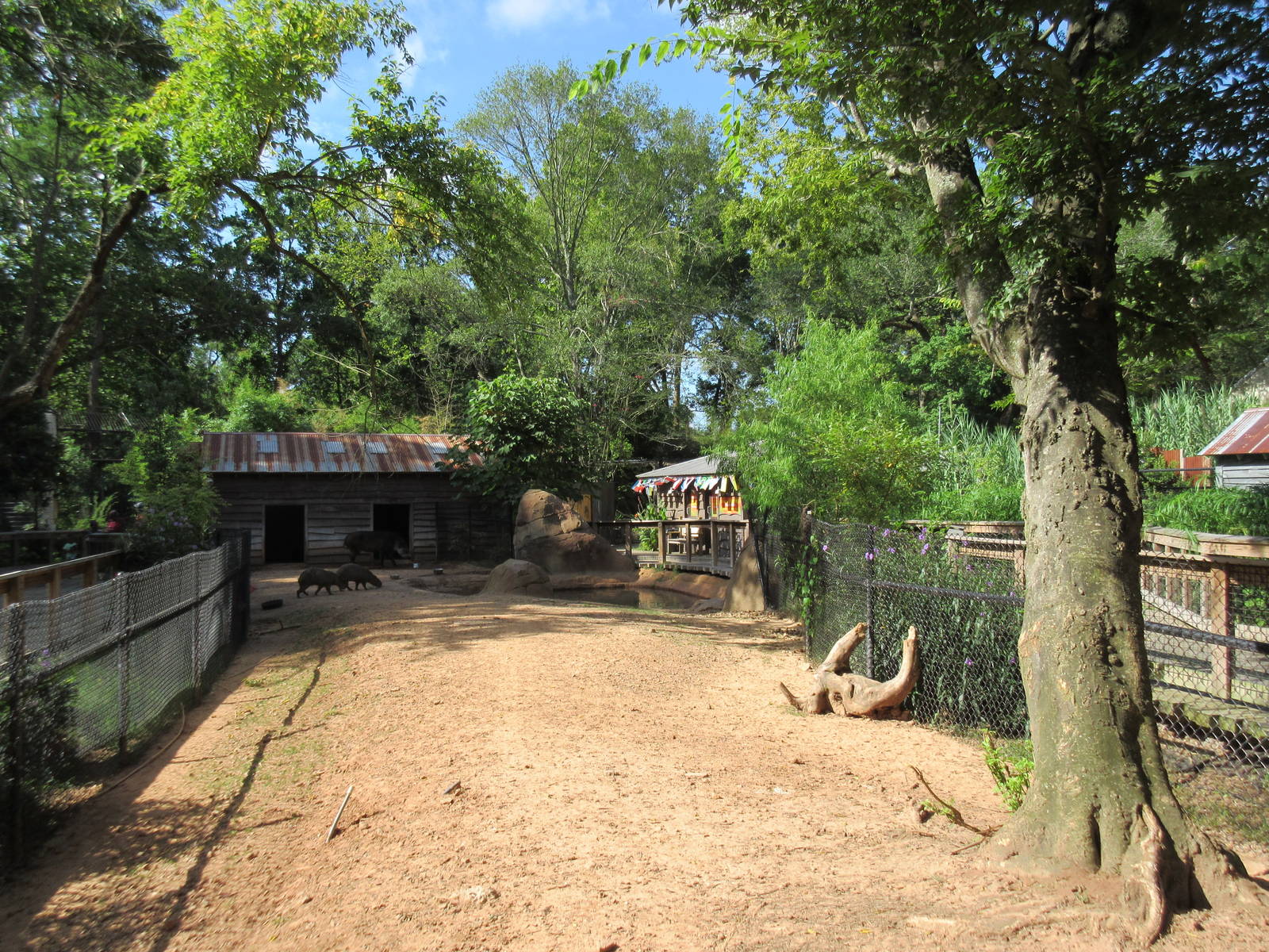 Brazilian Tapir/Capybara Exhibit