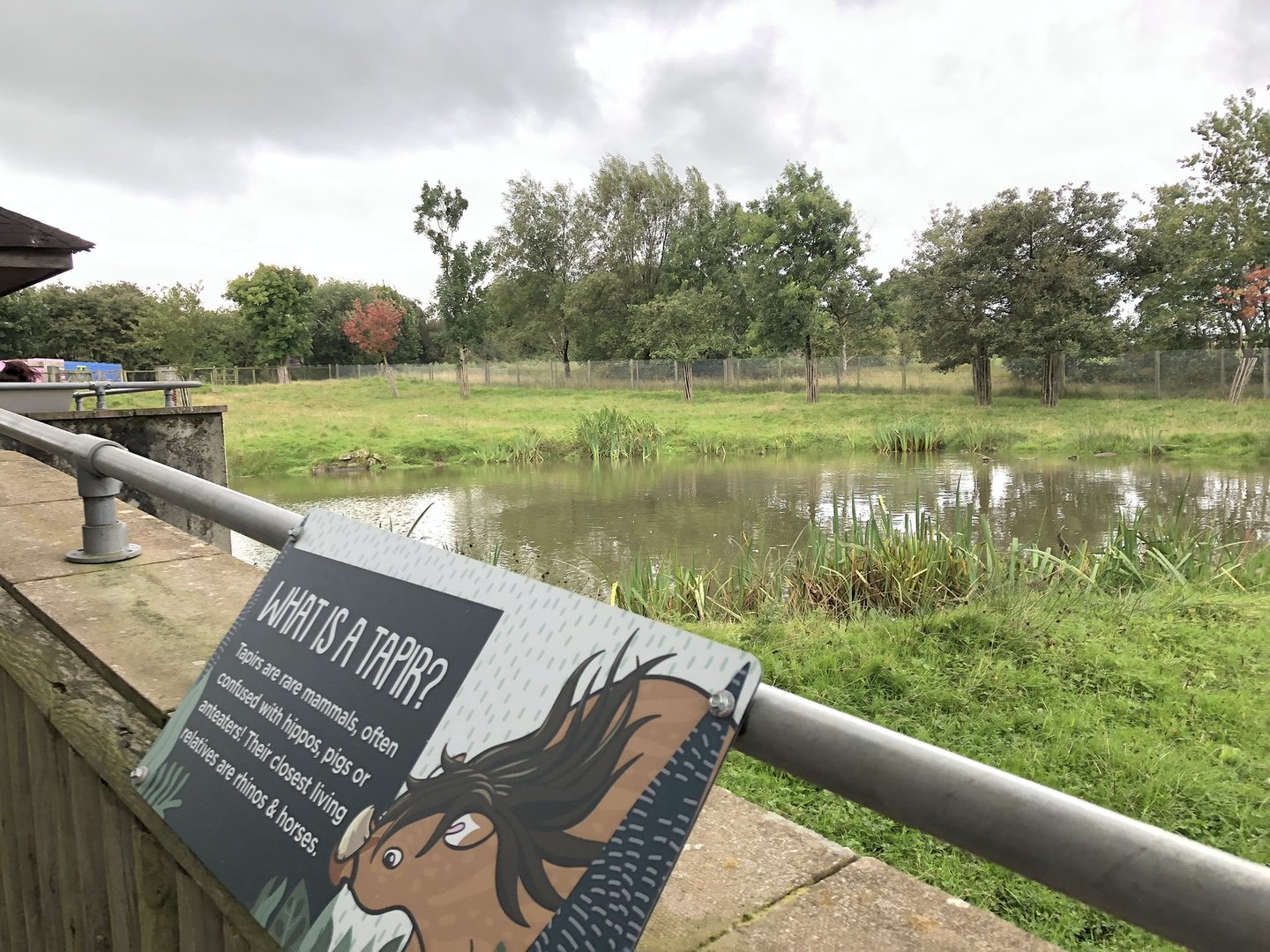 Brazilian Tapir Enclosure at Peak Wildlife Park (August 2023)