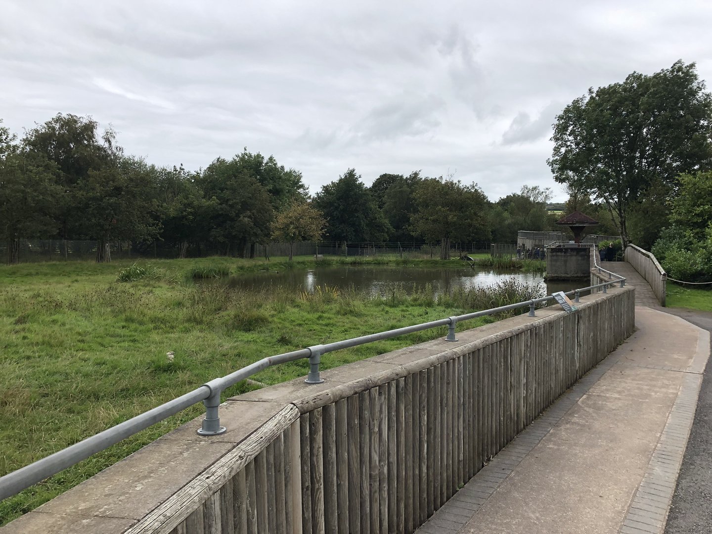 Brazilian Tapir Enclosure at Peak Wildlife Park (August 2023)