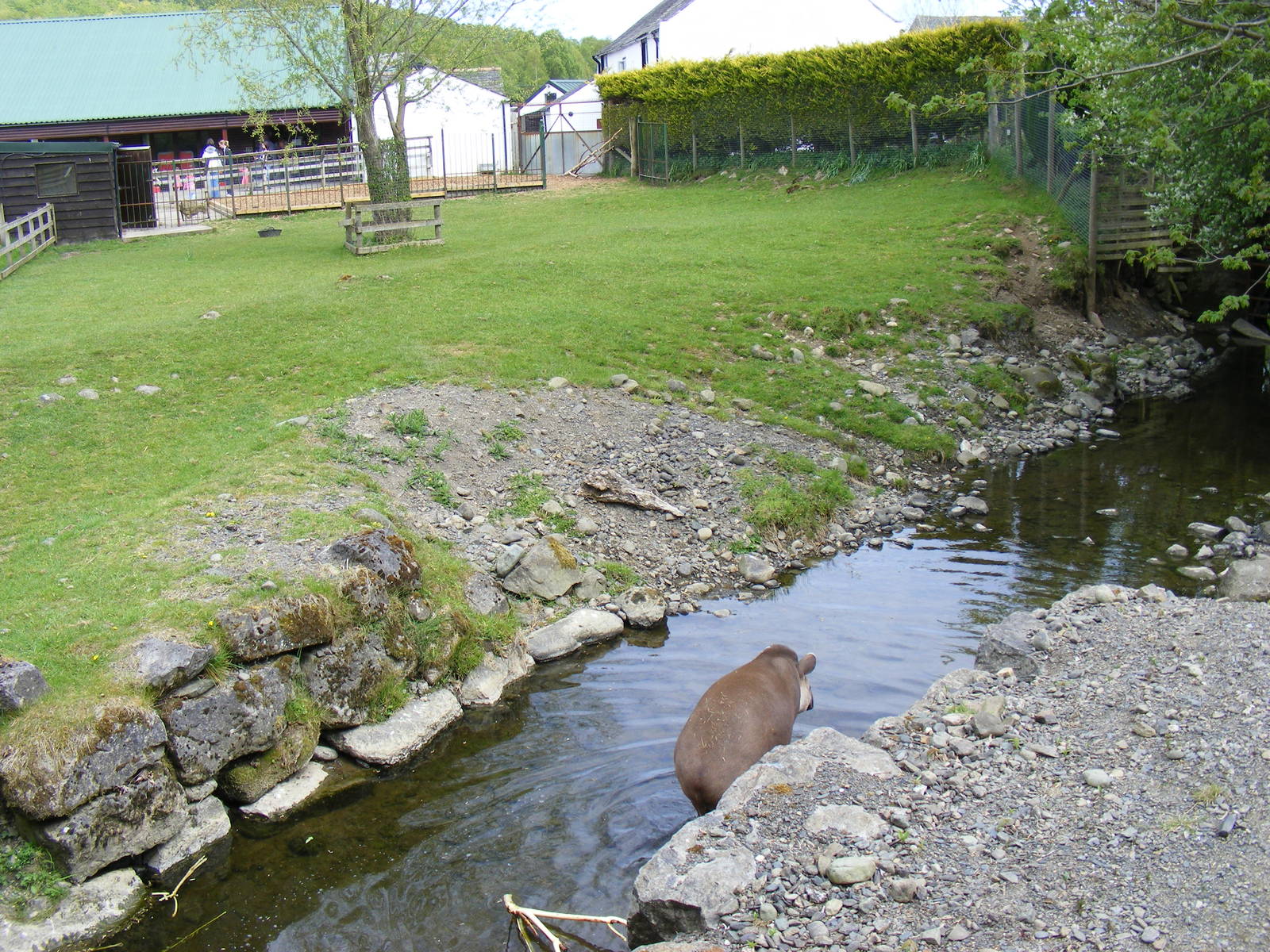Brazilian tapir enclosure at Trotters World of Animals, 15 May 2010