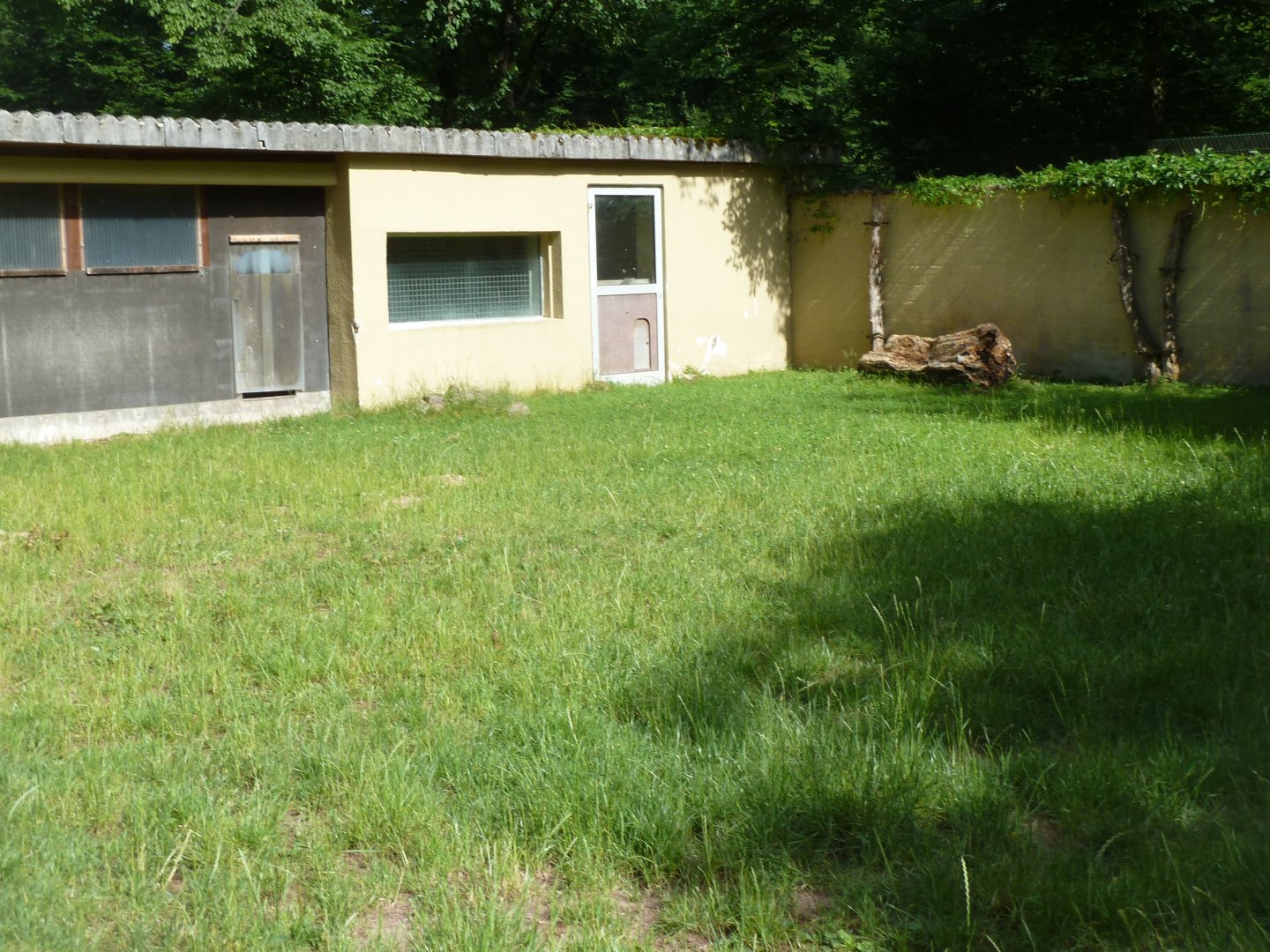 Brazilian tapir enclosure - left-wing part