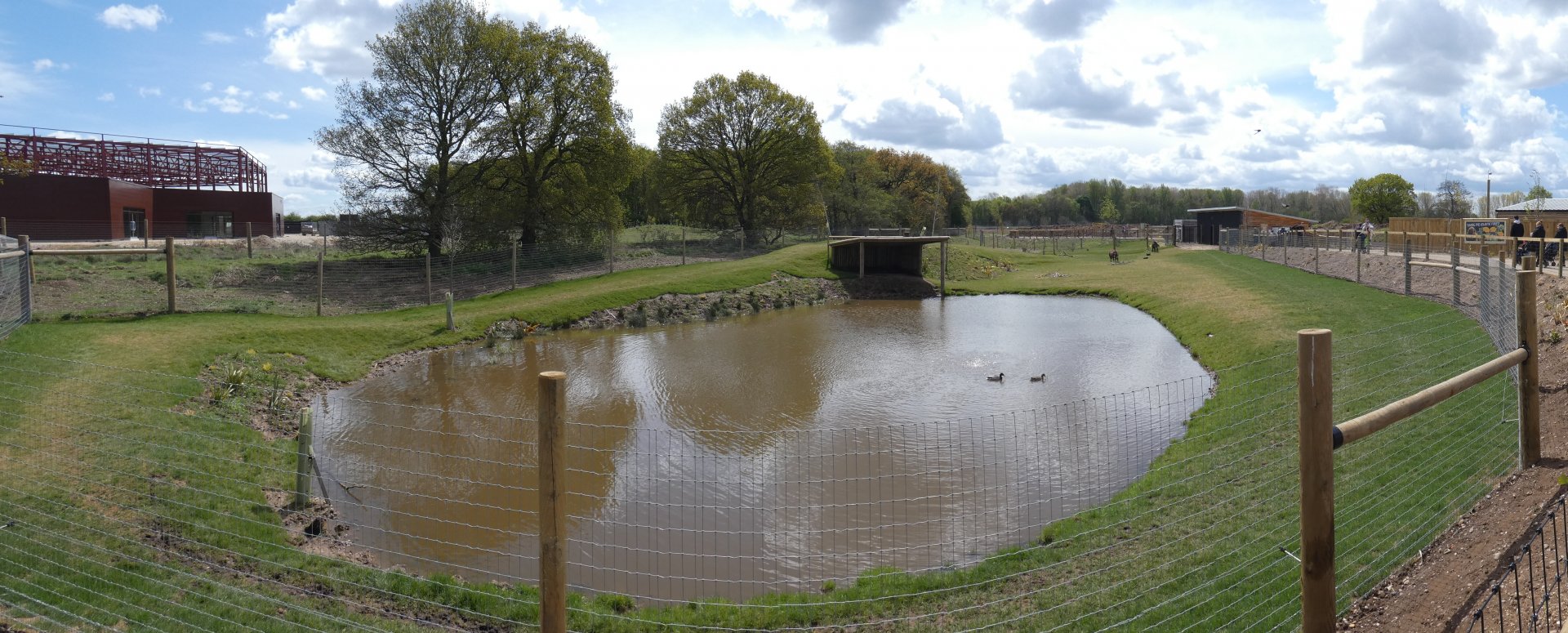 Brazilian tapir enclosure panorama