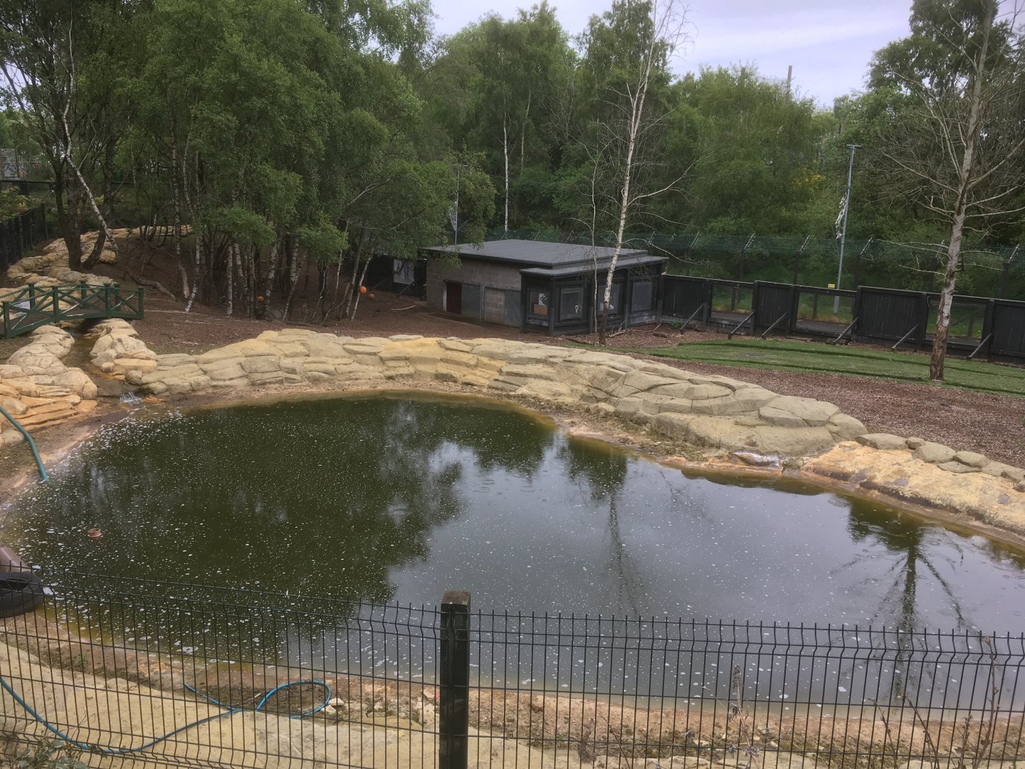 Brazilian tapir enclosure