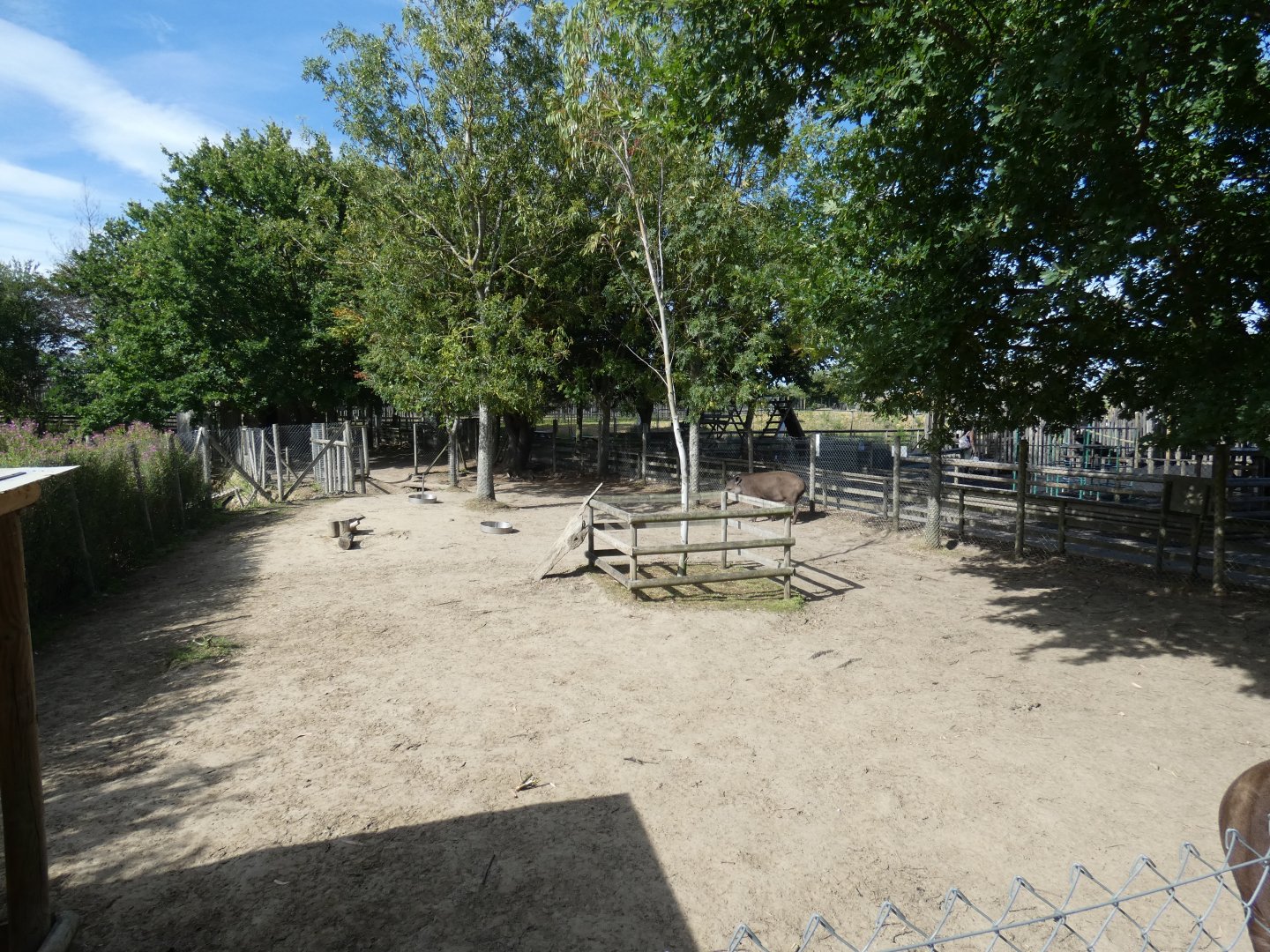 Brazilian Tapir enclosure