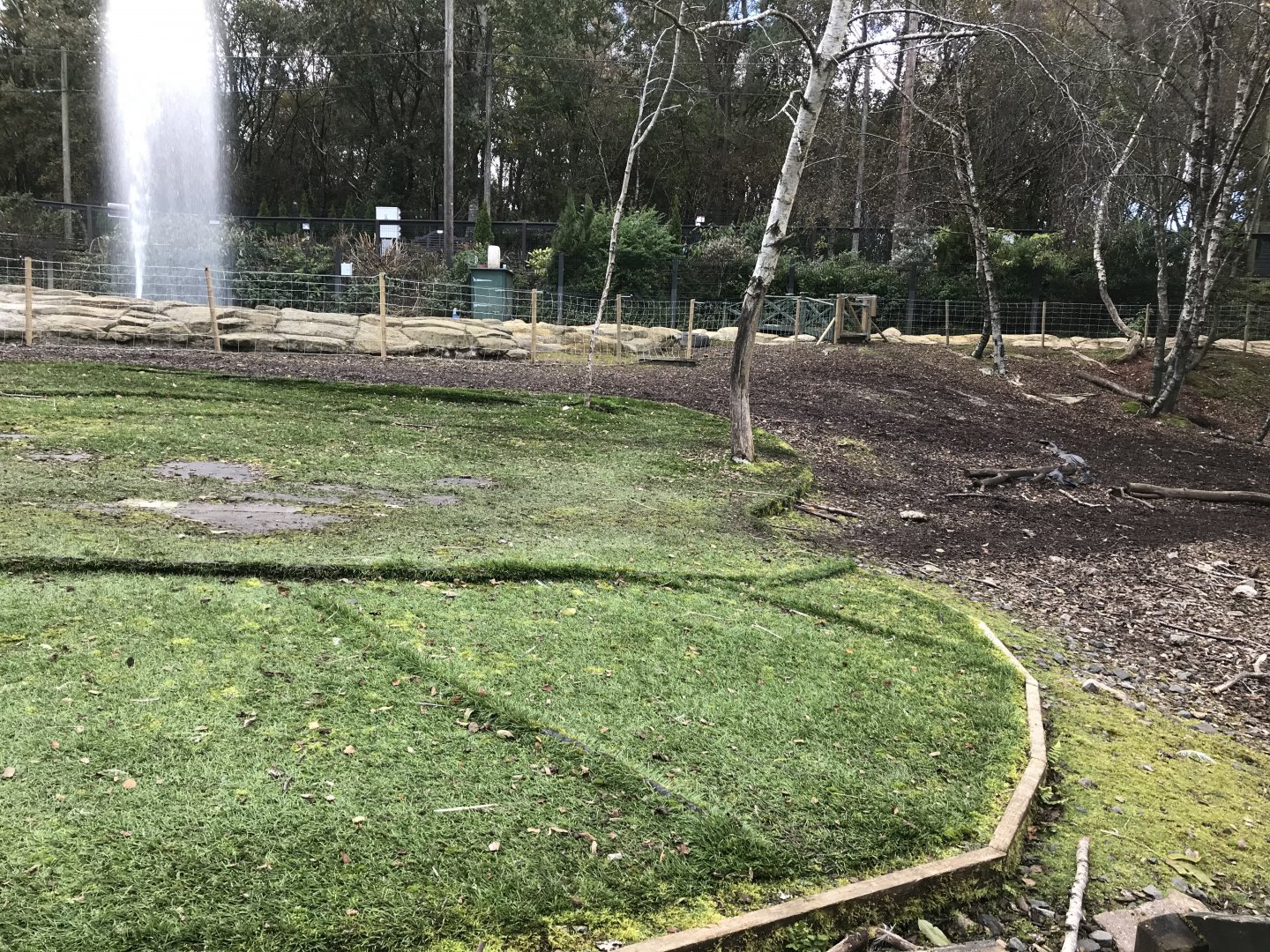 Brazilian tapir enclosure