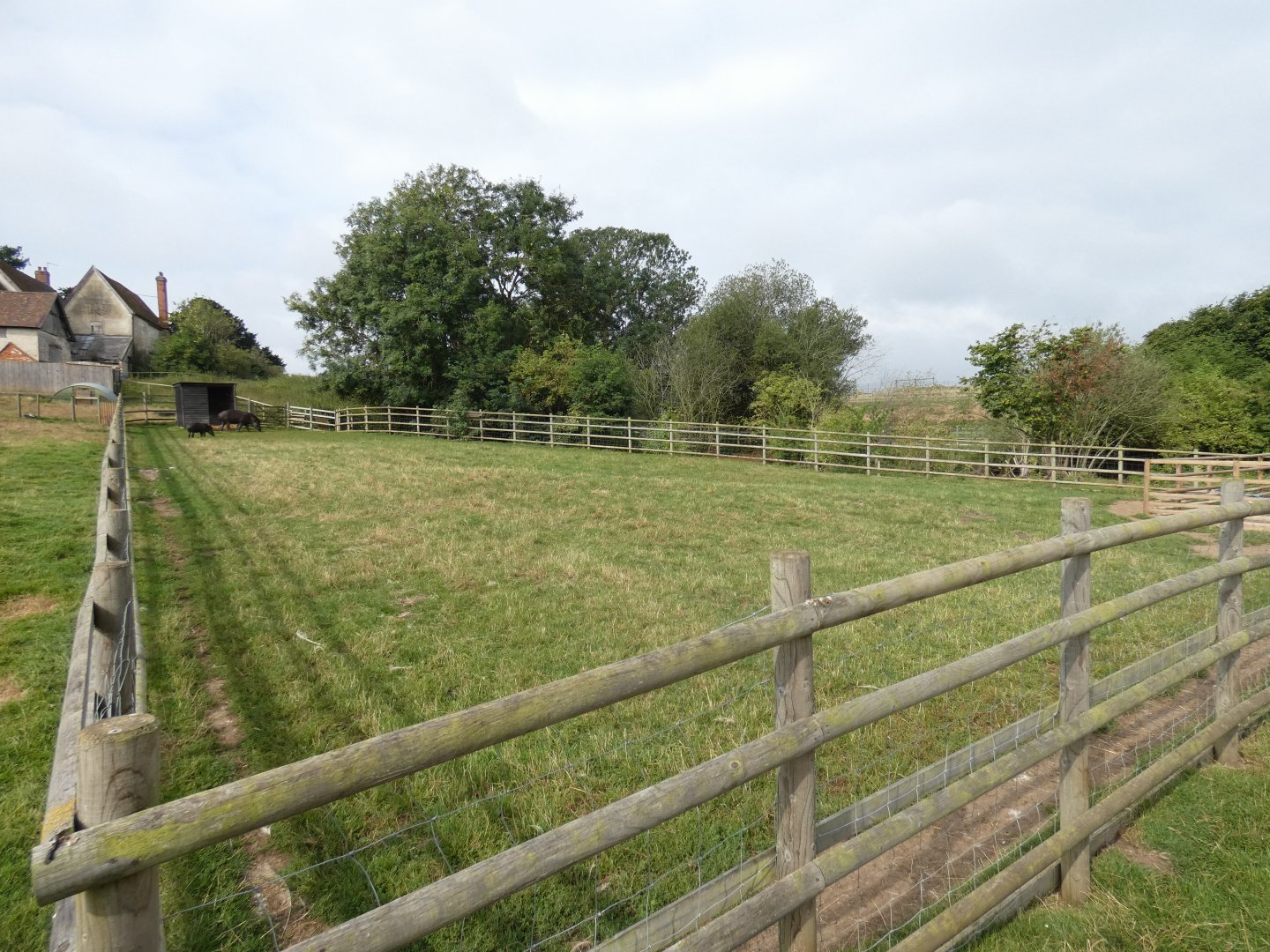 Brazilian tapir enclosure