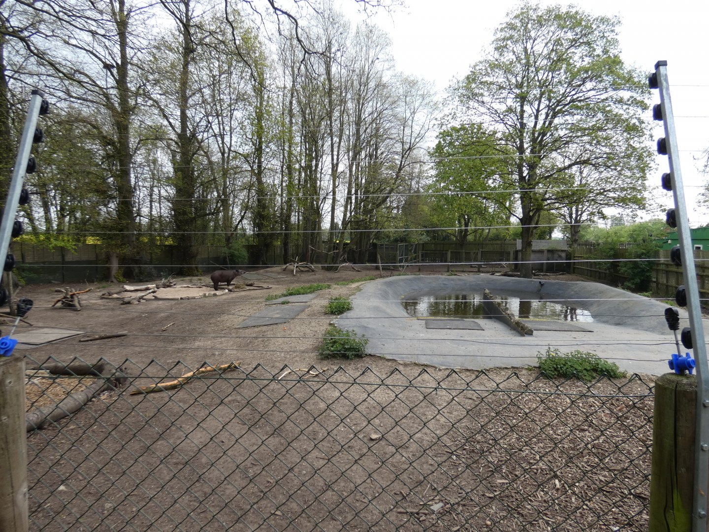 Brazilian tapir enclosure