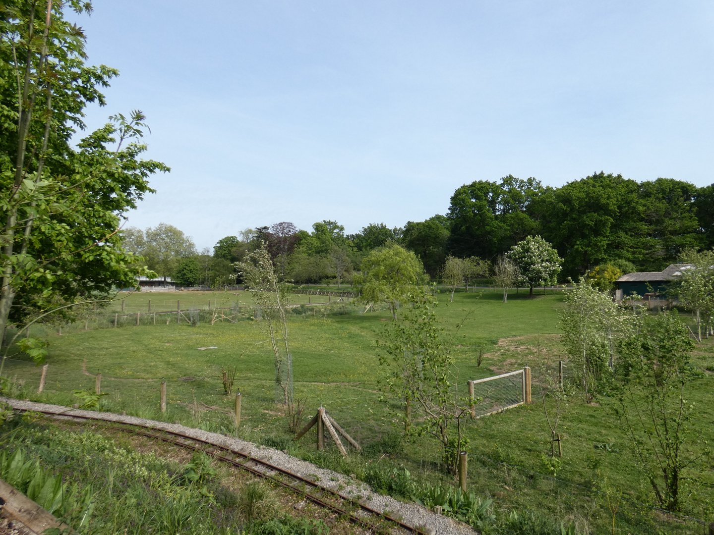 Brazilian tapir enclosure