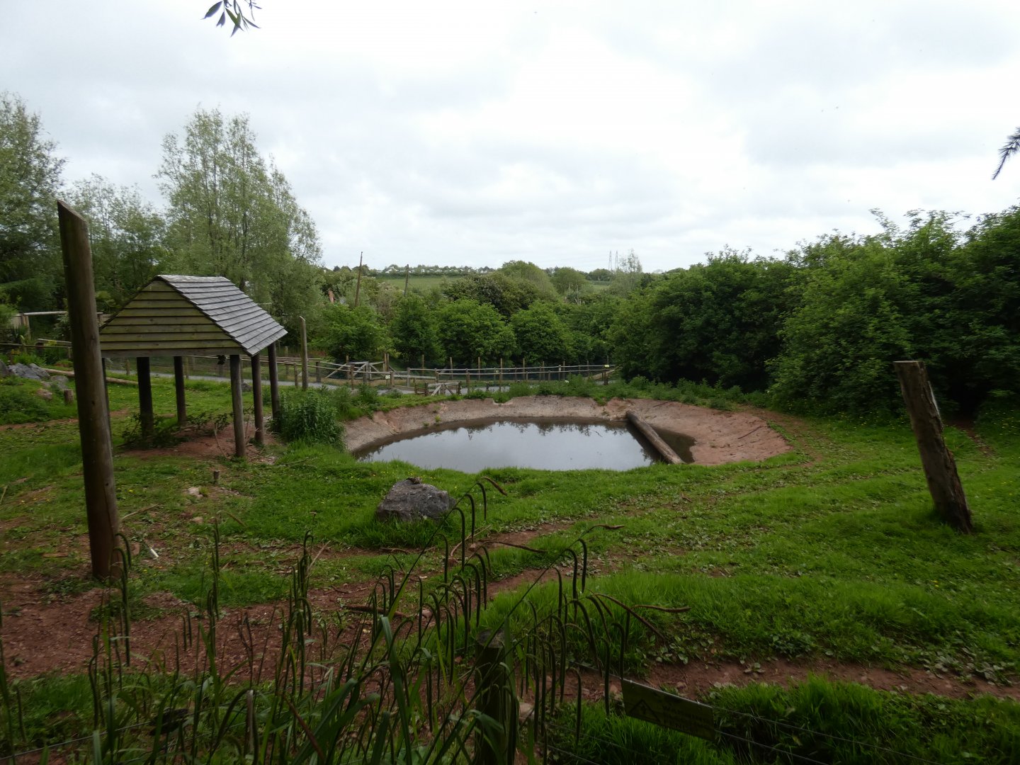 Brazilian tapir enclosure