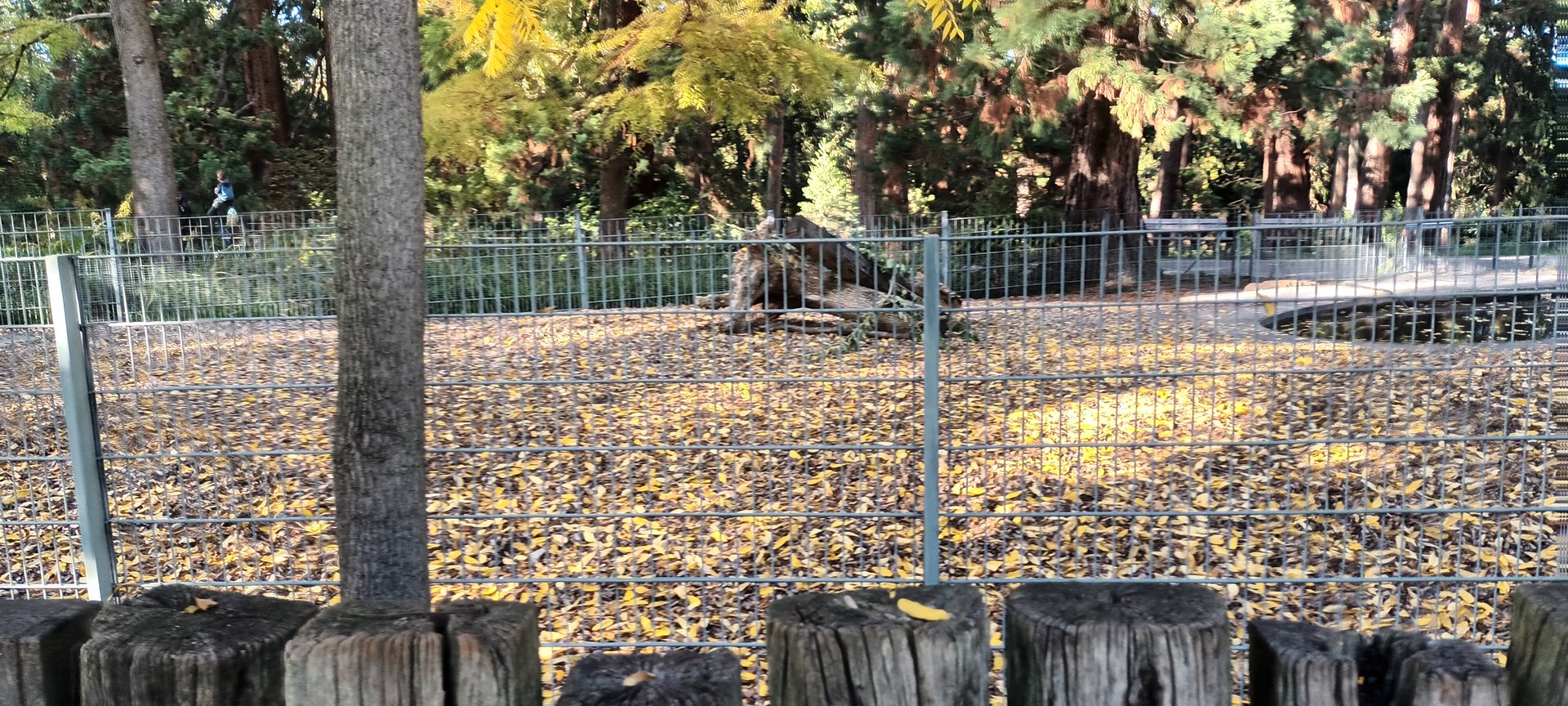 Brazilian Tapir Enclosure