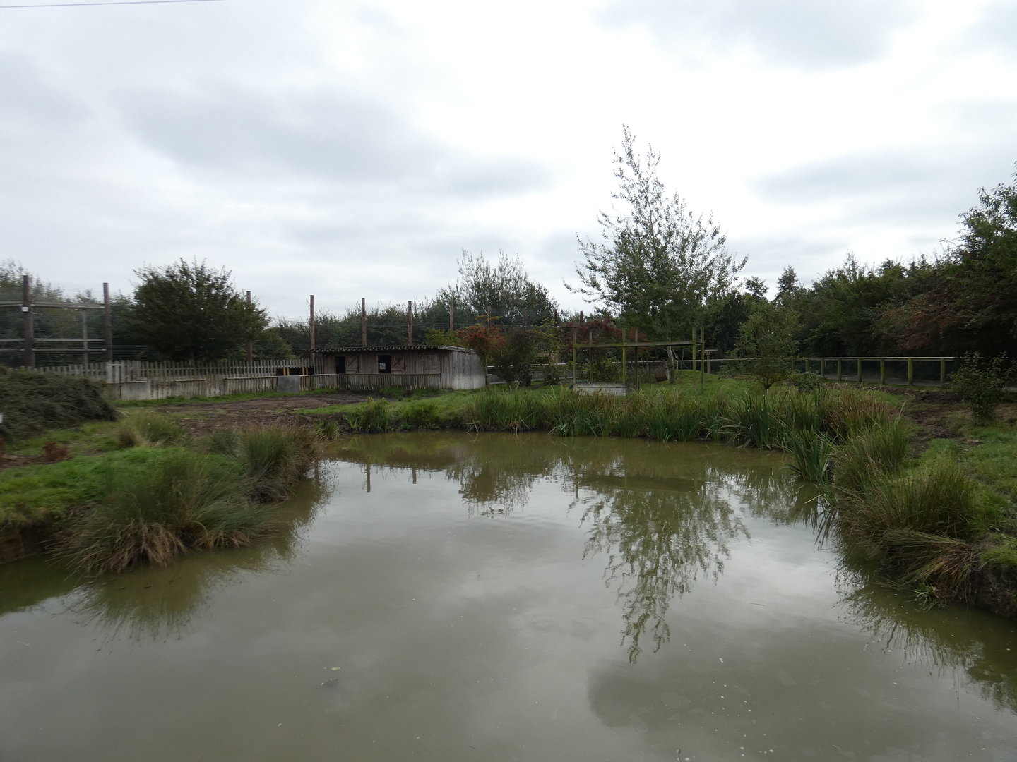 Brazilian tapir enclosure