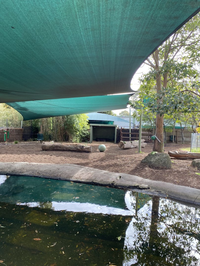 Brazilian Tapir Enclosure