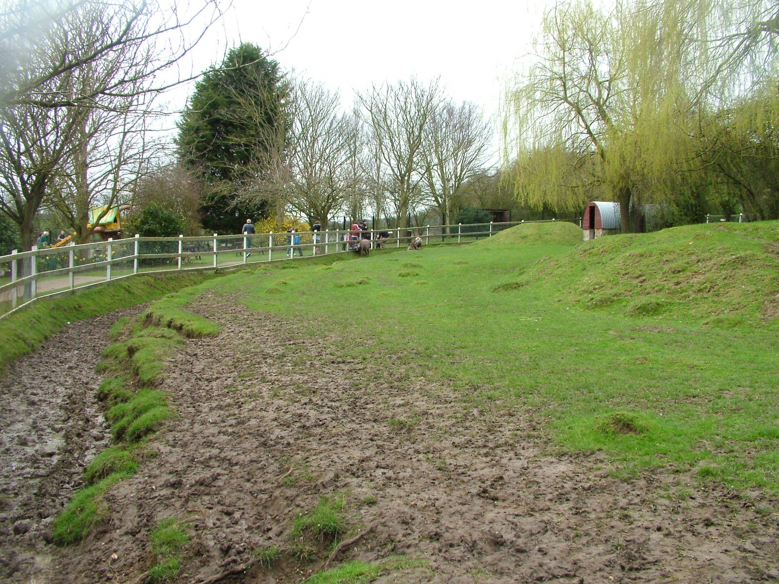 Brazilian Tapir exhibit at Linton 05/04/10