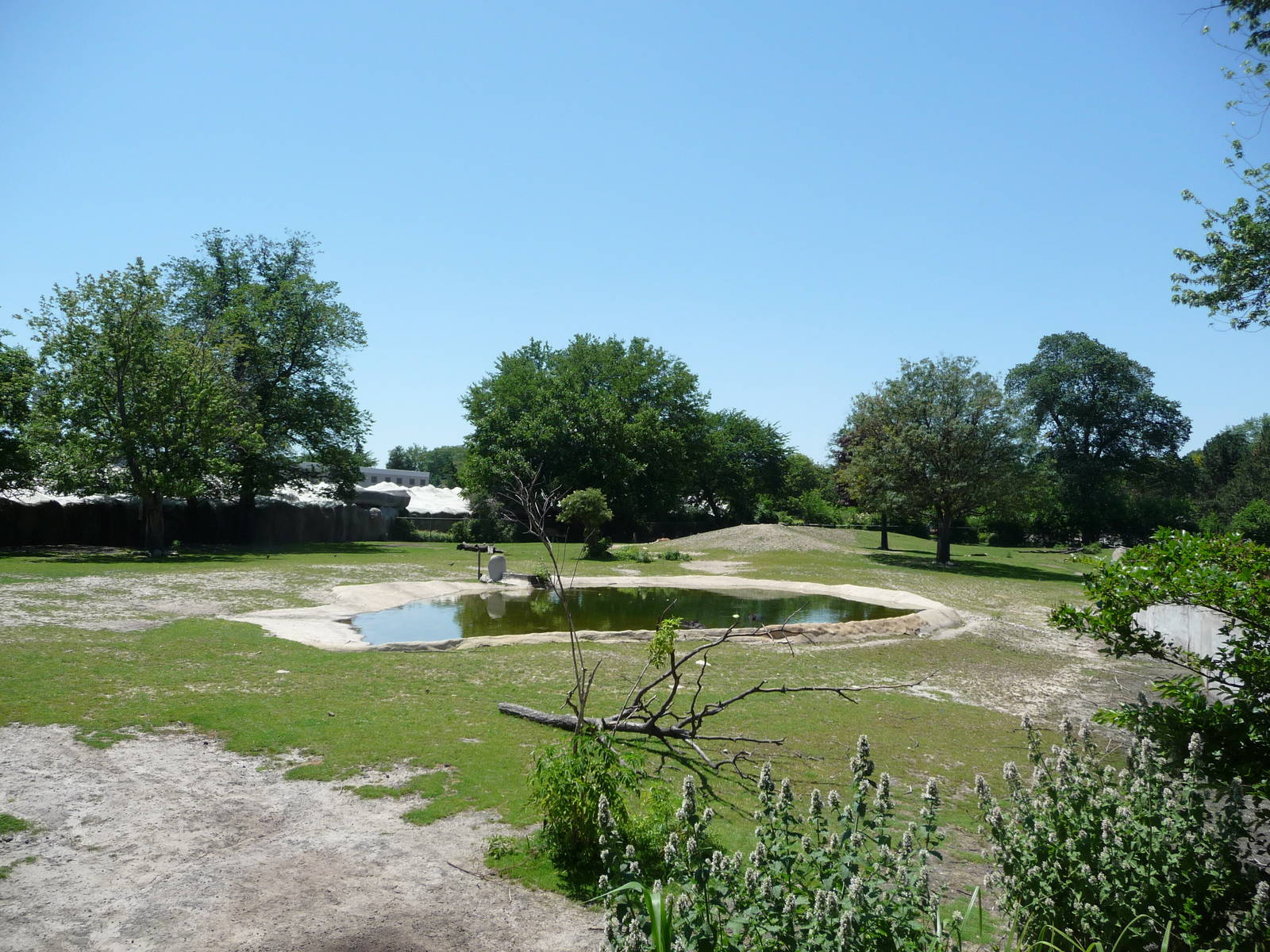 Brazilian Tapir Exhibit - Detroit Zoo