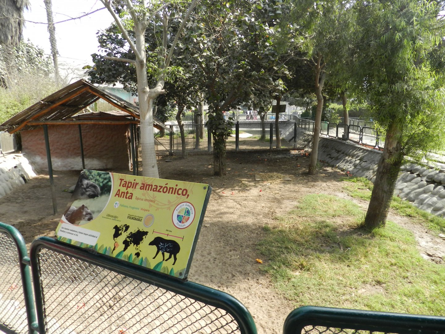Brazilian tapir exhibit I - Parque Zoológico Huachipa