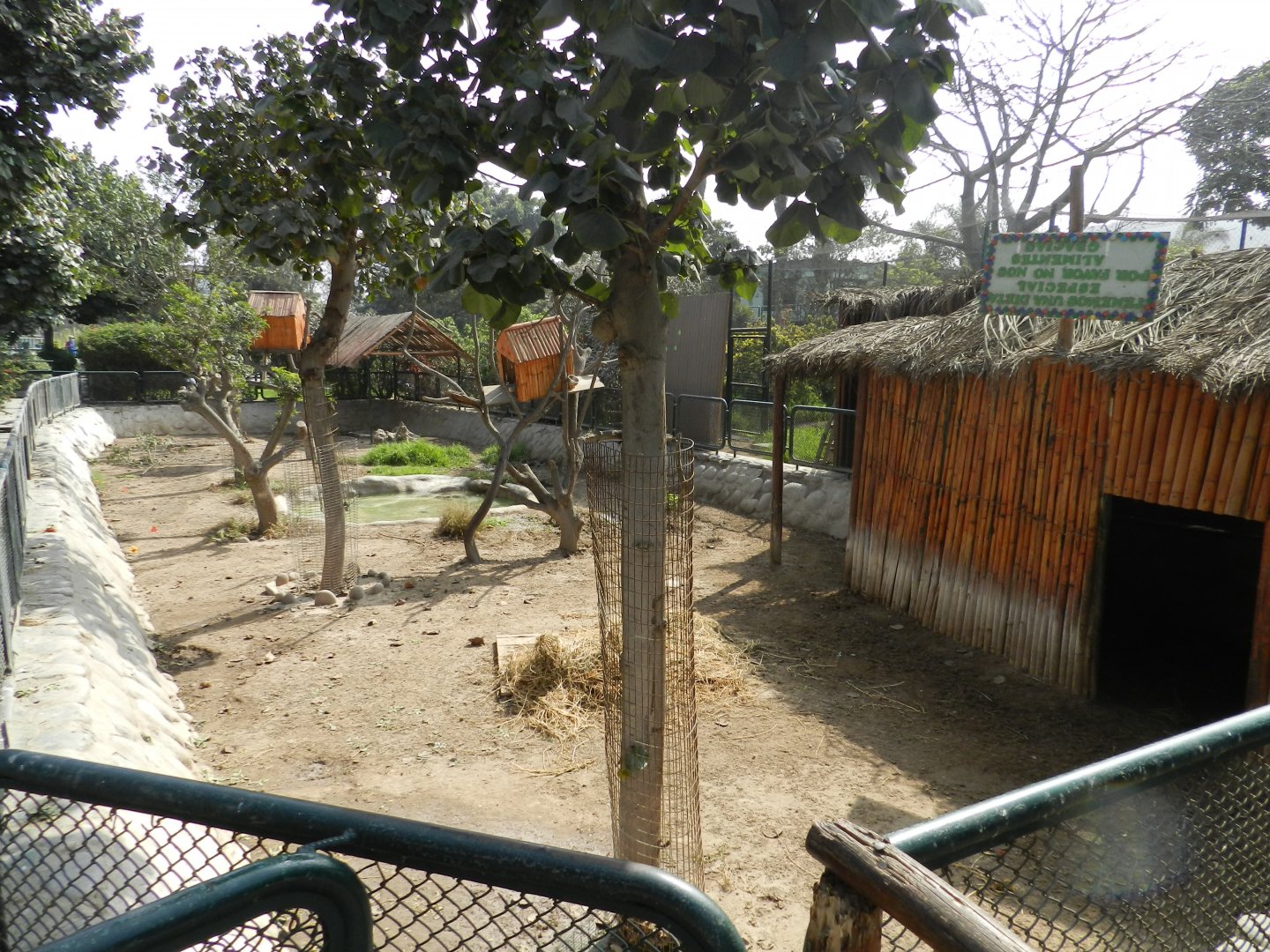 Brazilian tapir exhibit II - Parque Zoológico Huachipa