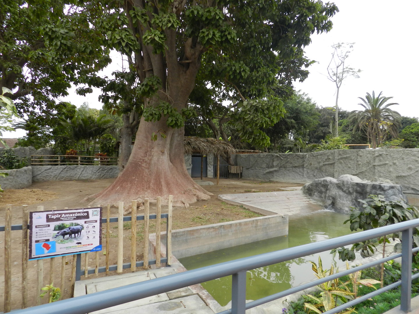 Brazilian tapir exhibit - Parque de Las Leyendas