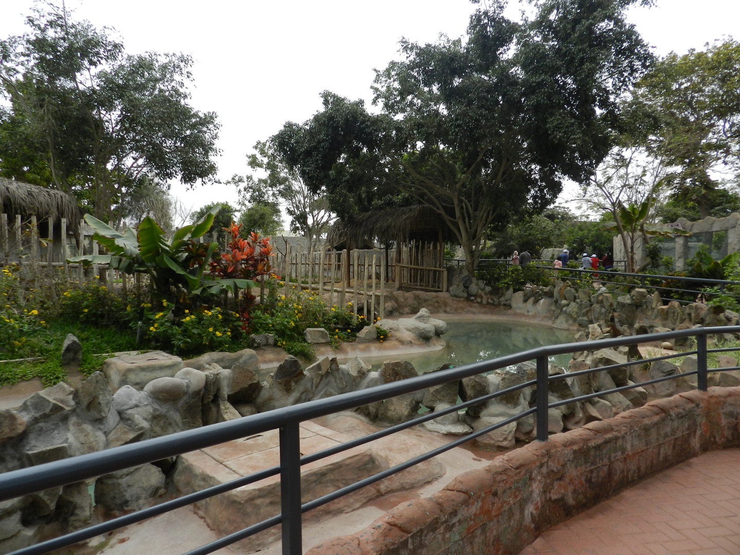 Brazilian tapir exhibit - Parque de Las Leyendas
