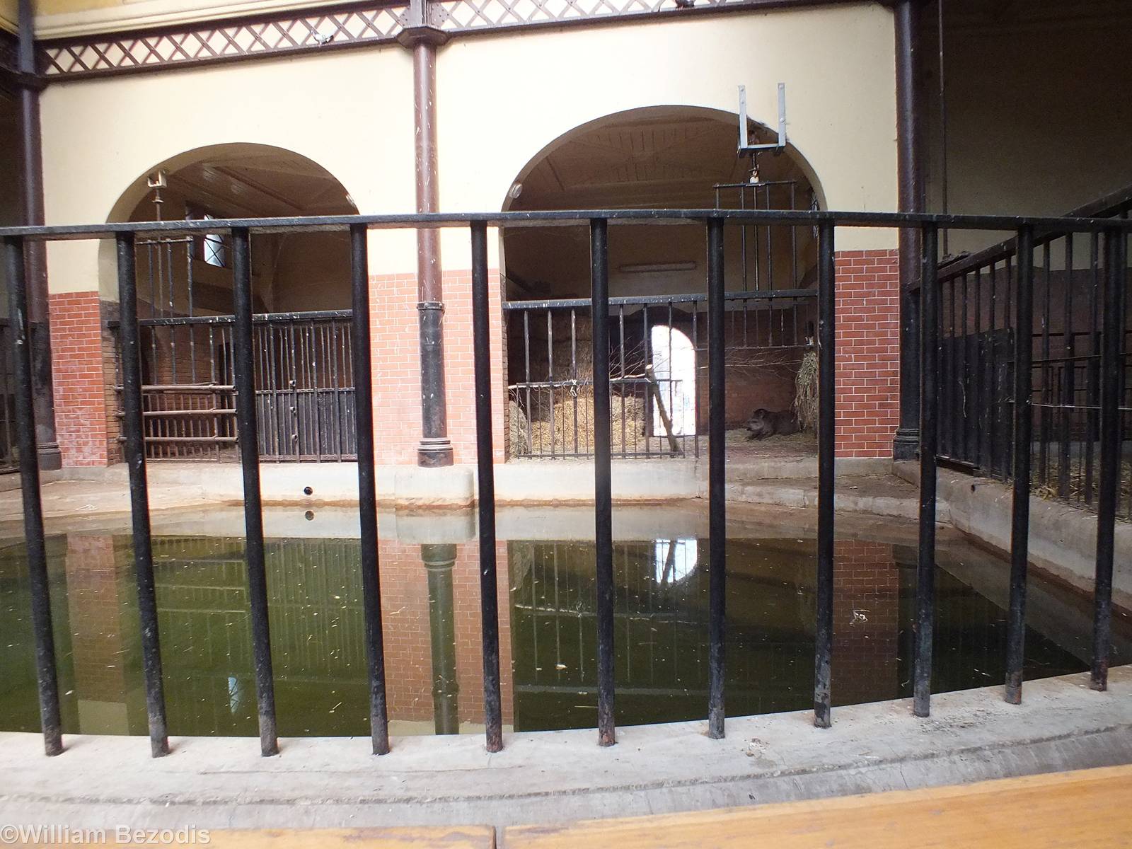Brazilian Tapir Indoor Area (formerly Common Hippos)