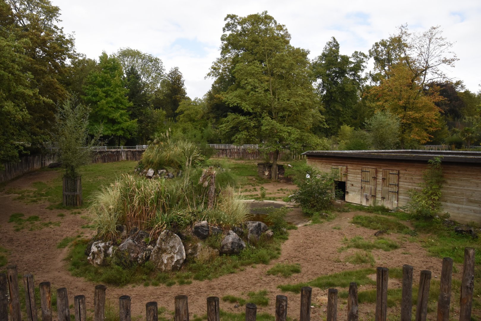 Brazilian Tapir & Maned Wolf enclosure