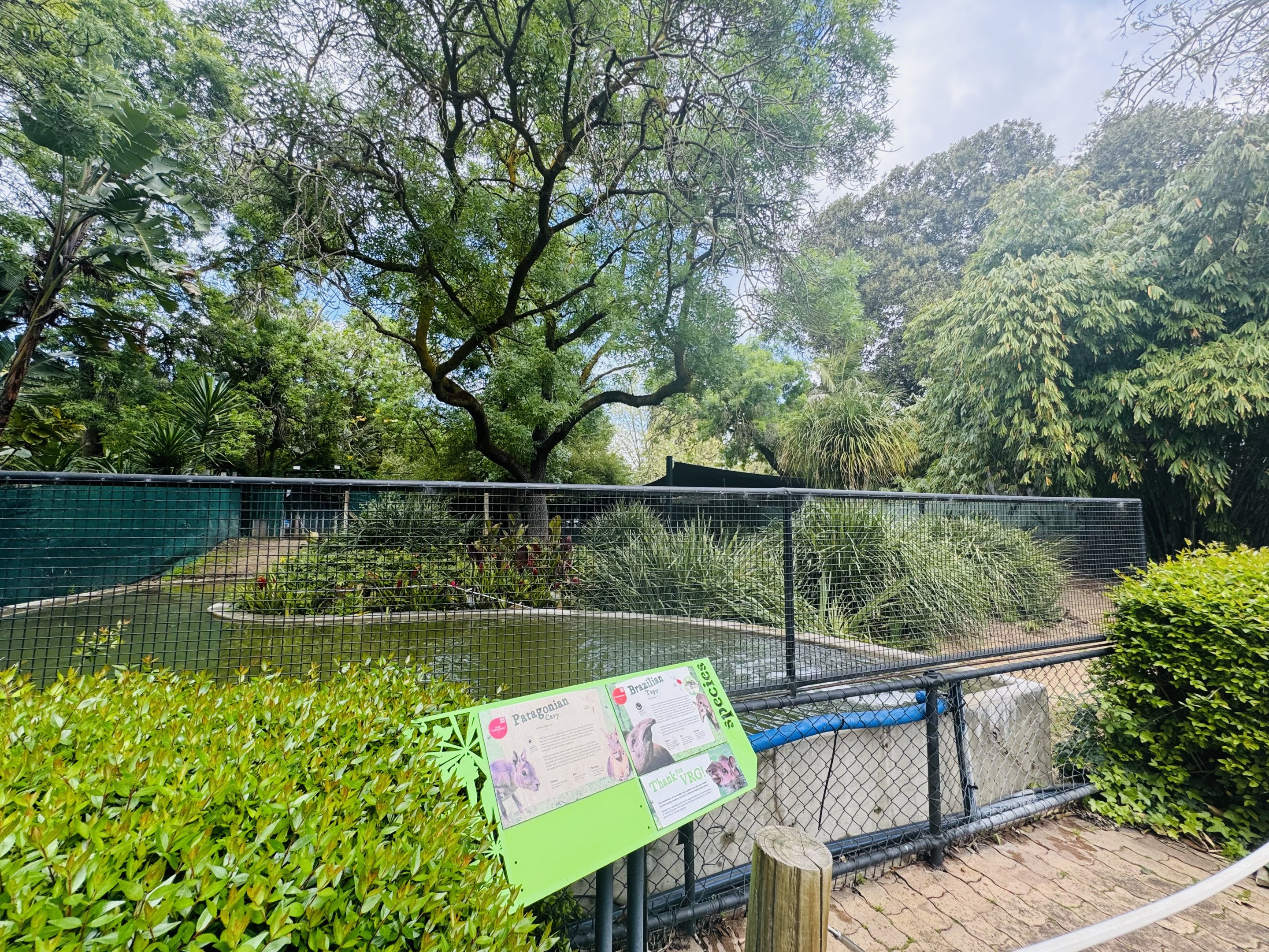 Brazilian tapir/mara enclosure