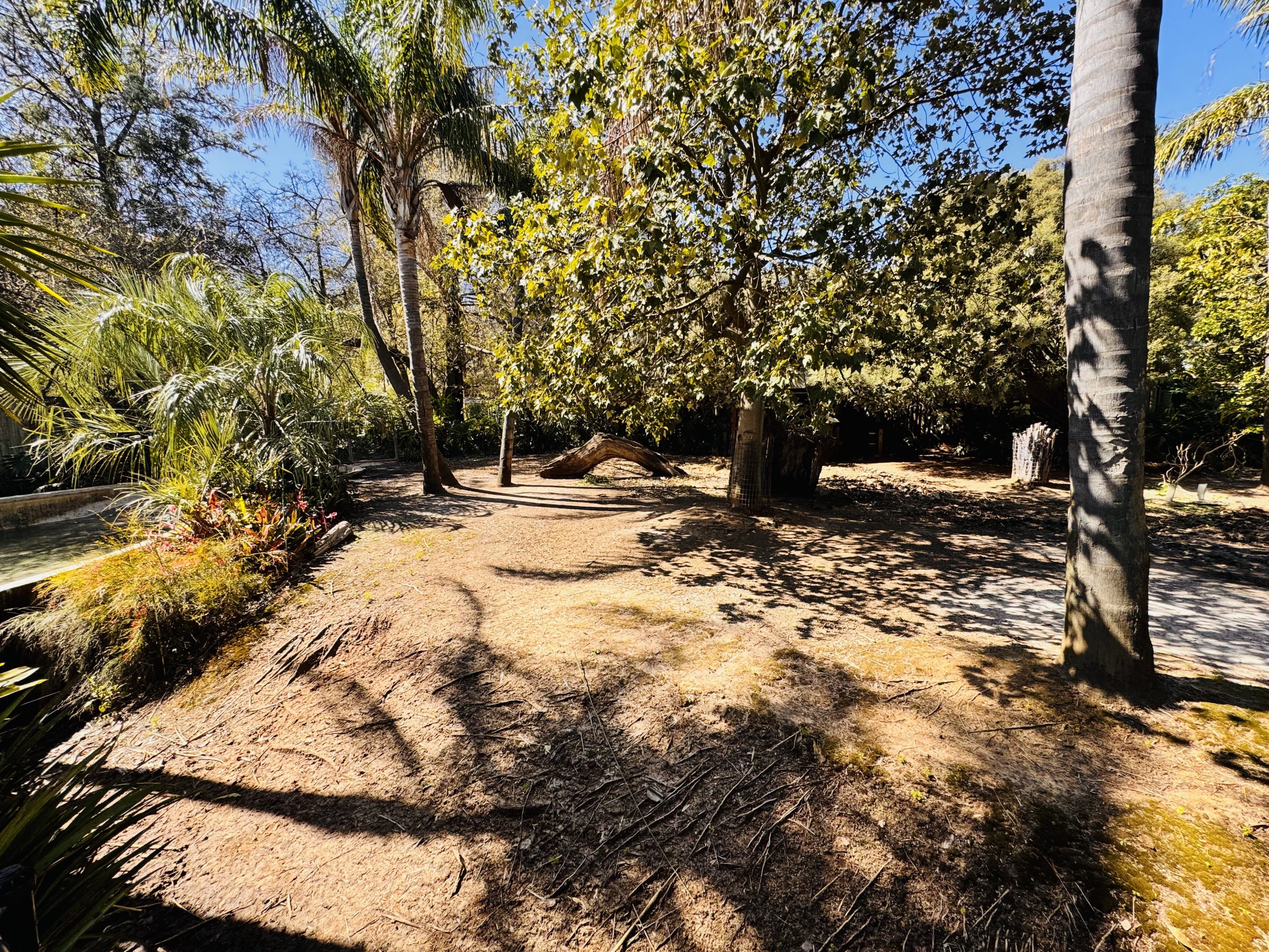 Brazilian tapir/mara enclosure