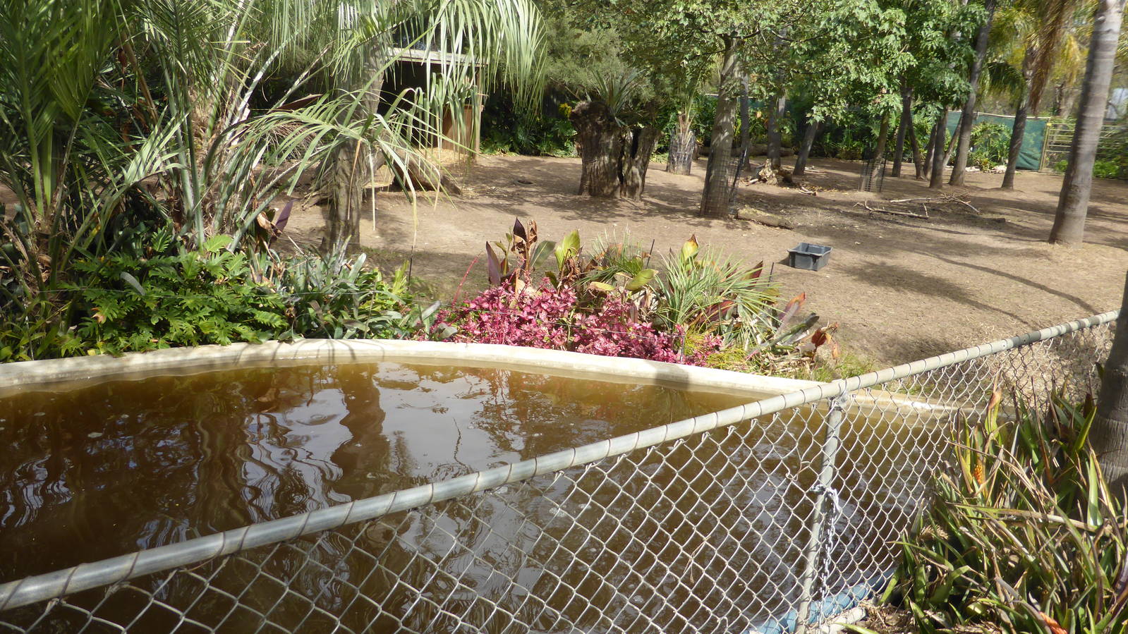 Brazilian Tapir/Mara exhibit