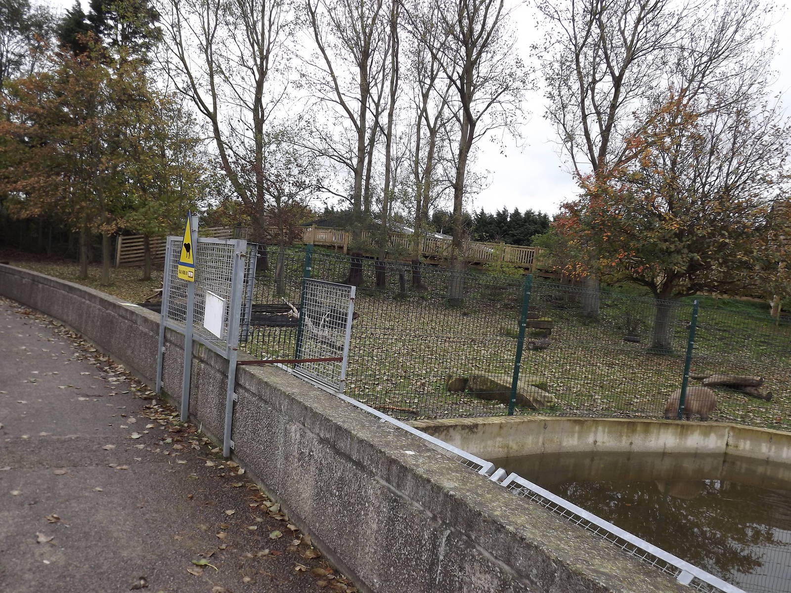 Brazilian Tapir paddock in Autumn at Blackpool zoo 16/10/11