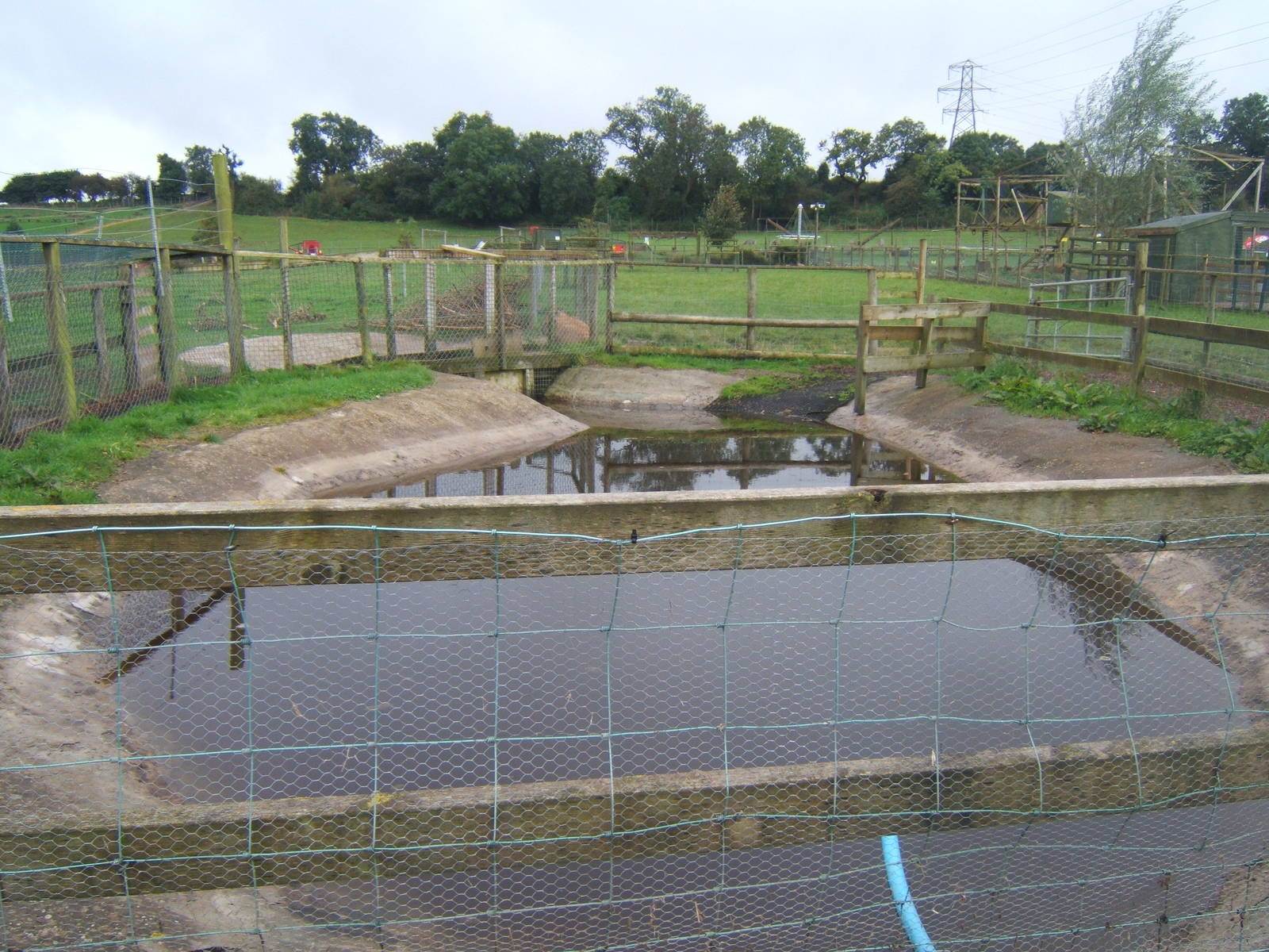 Brazilian Tapir pool