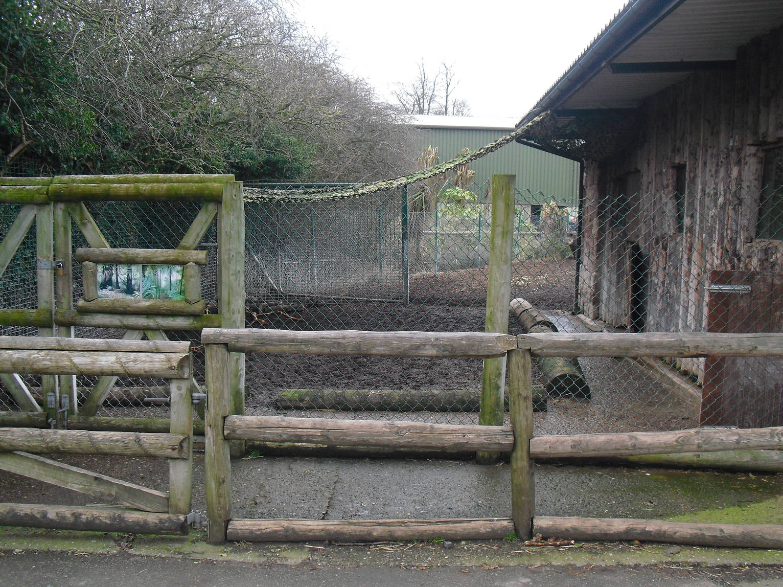 Brazilian Tapir Yard (?) - 16/02/2011